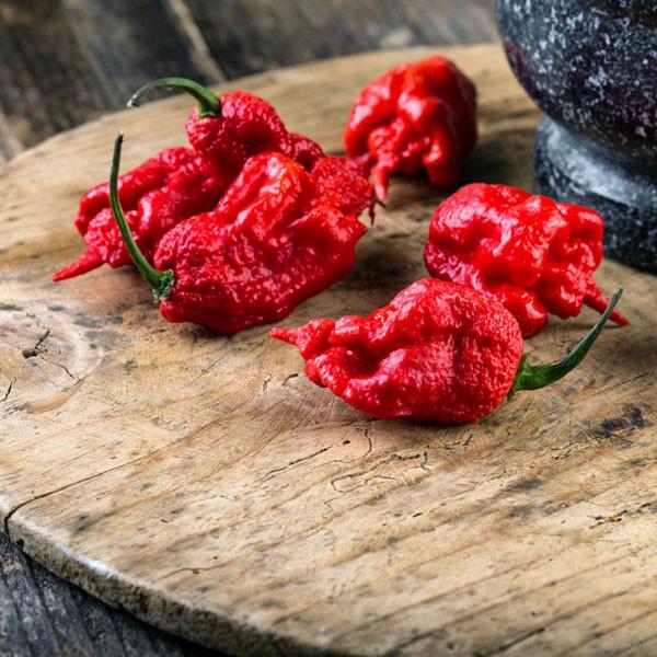 carolina-reaper-2-hot-pepper-pepper-joes