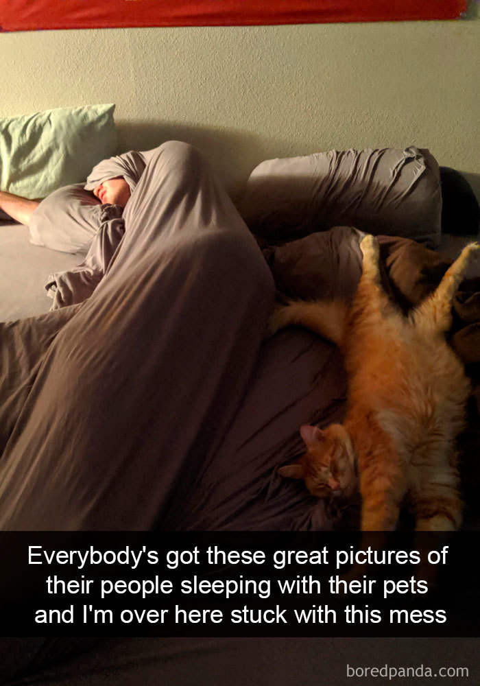 cat-snapchats-3001-5da0232ebb1e1__700