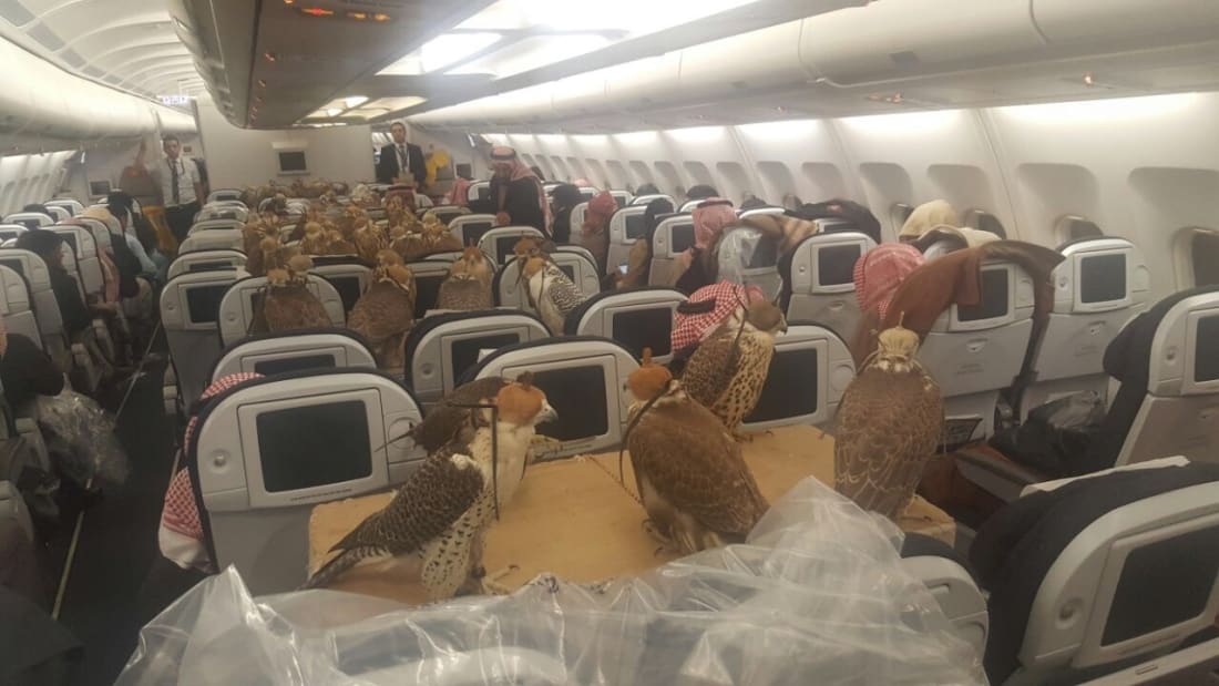 http_cdn.cnn.comcnnnextdamassets170201163751-falcons-plane