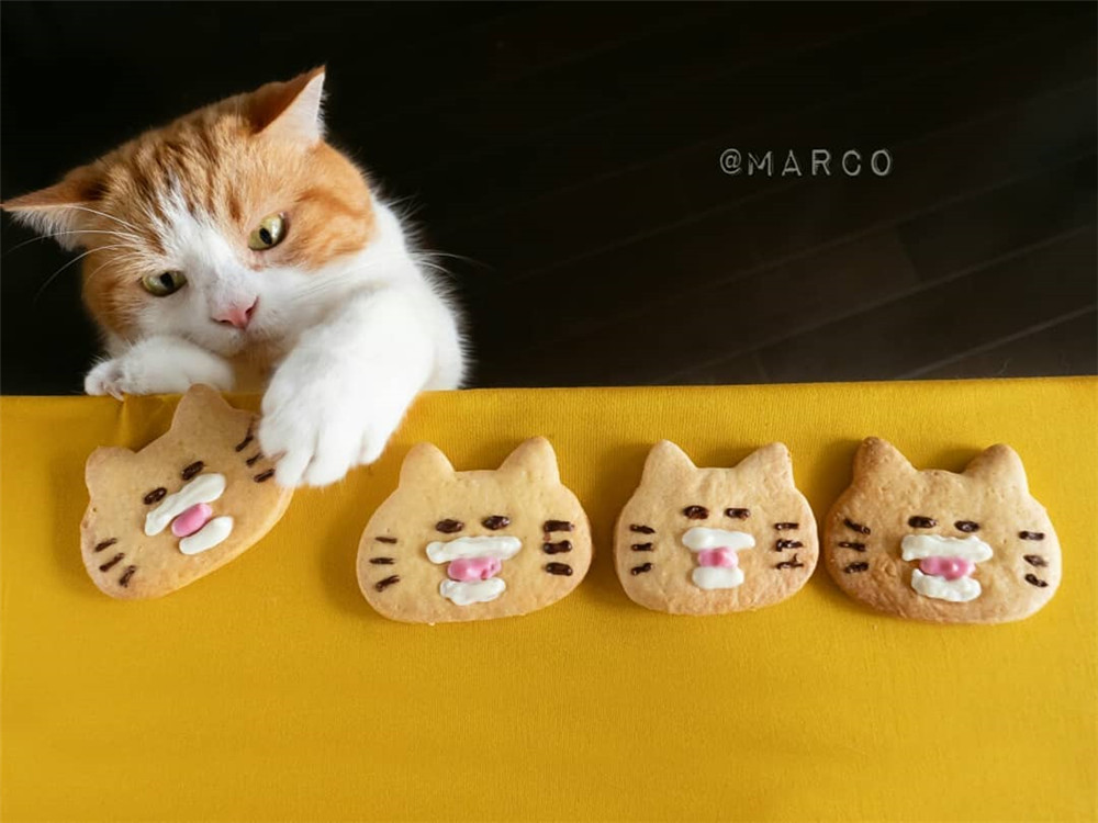 marco77774_70416900_2082867505353694_2748771286878771515_n