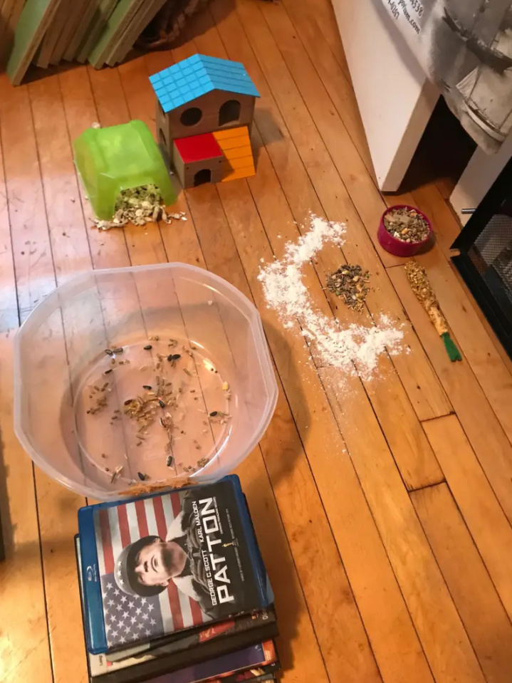 微信图片_20191128191432_副本