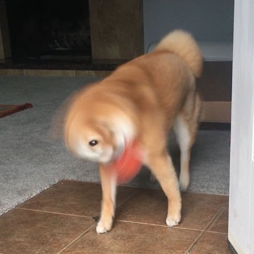 D_iqmcFXoAADnSN.jpg