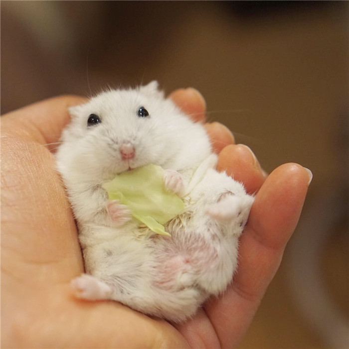 EBXCXcpUIAIhFjG_副本