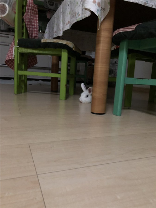 EKJqk1EUYAAsLcX