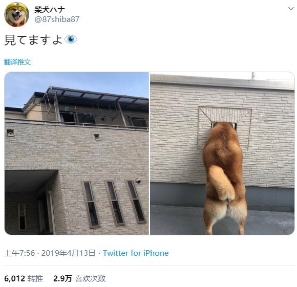 微信截图_20191222174239.jpg