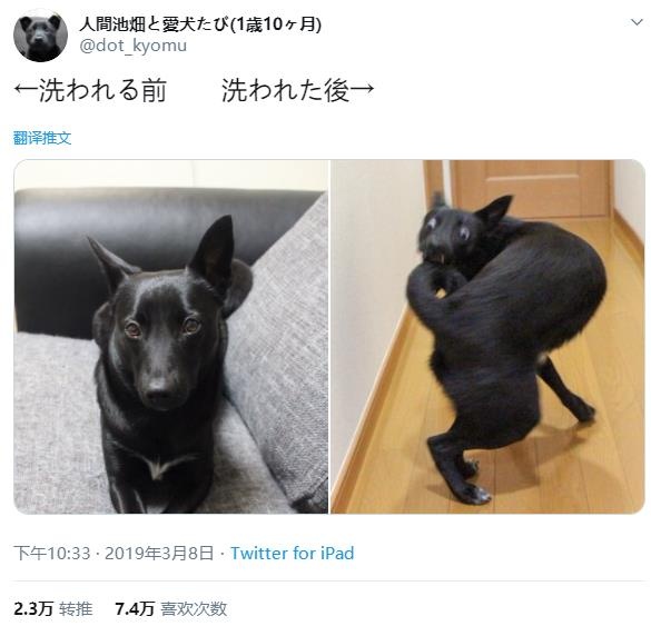 微信截图_20191222172448.jpg
