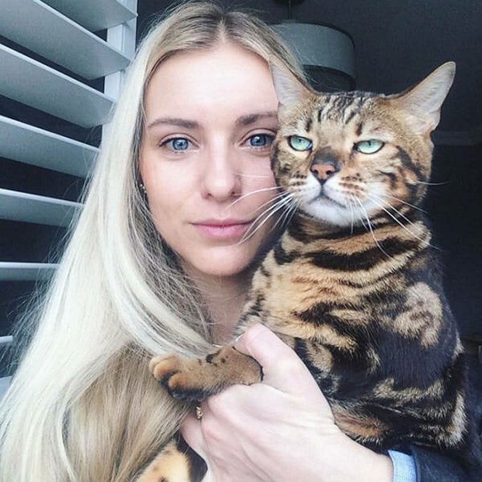 cats-that-dont-like-selfie-09