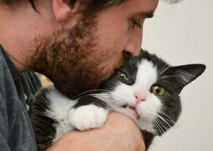 cats-that-dont-like-selfie-14