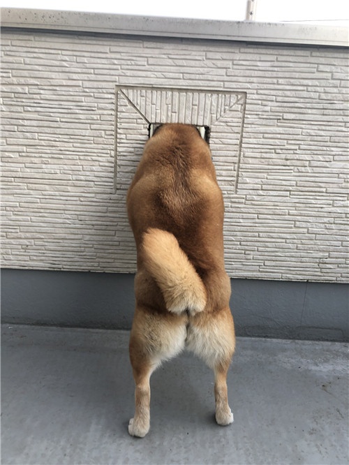 D3_bd6hVUAAVTSf.jpg