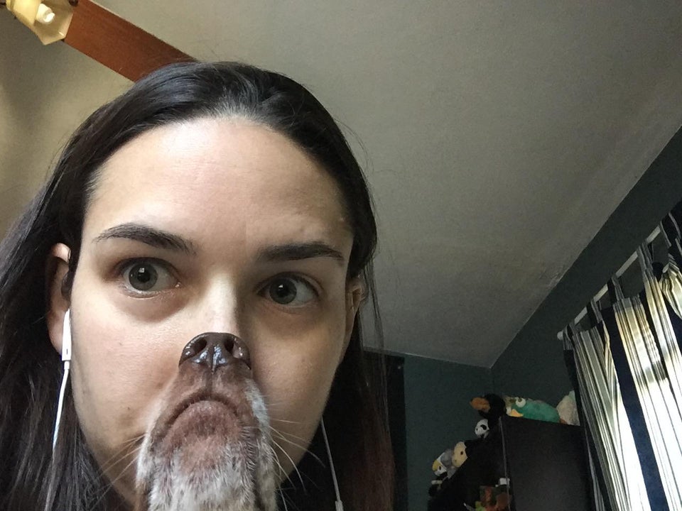 iddnbbmqlcz31