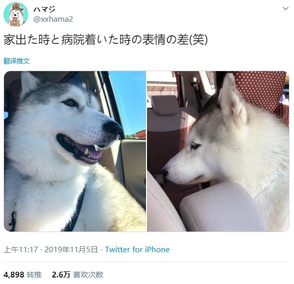 微信截图_20191222180650.jpg