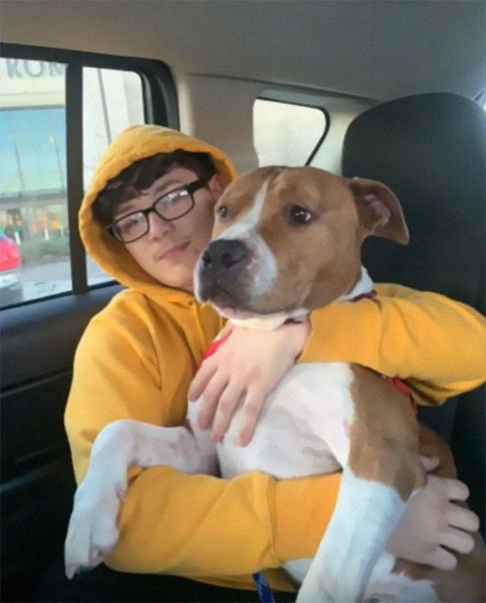 stolen-dog-pitbull-return-home-christmas-volunteers-178