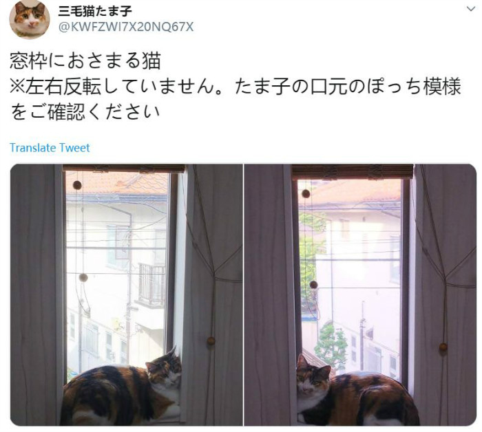 weixinjietu_20191210181438