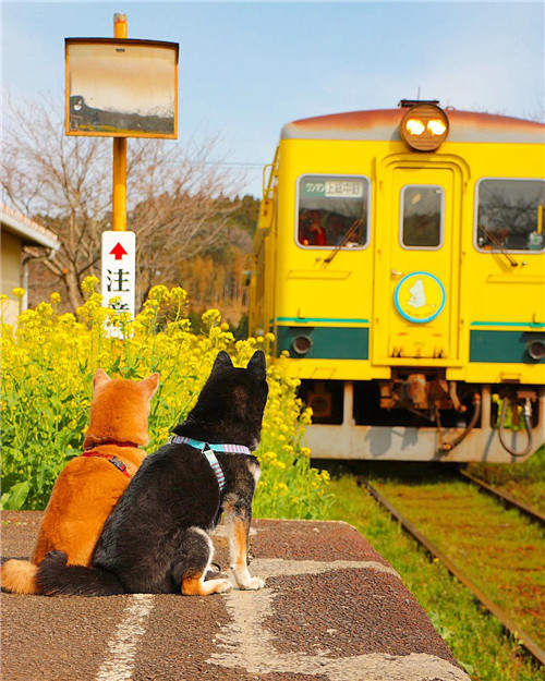 いすみ鉄道 (2)