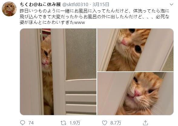 微信截图_20191208122819