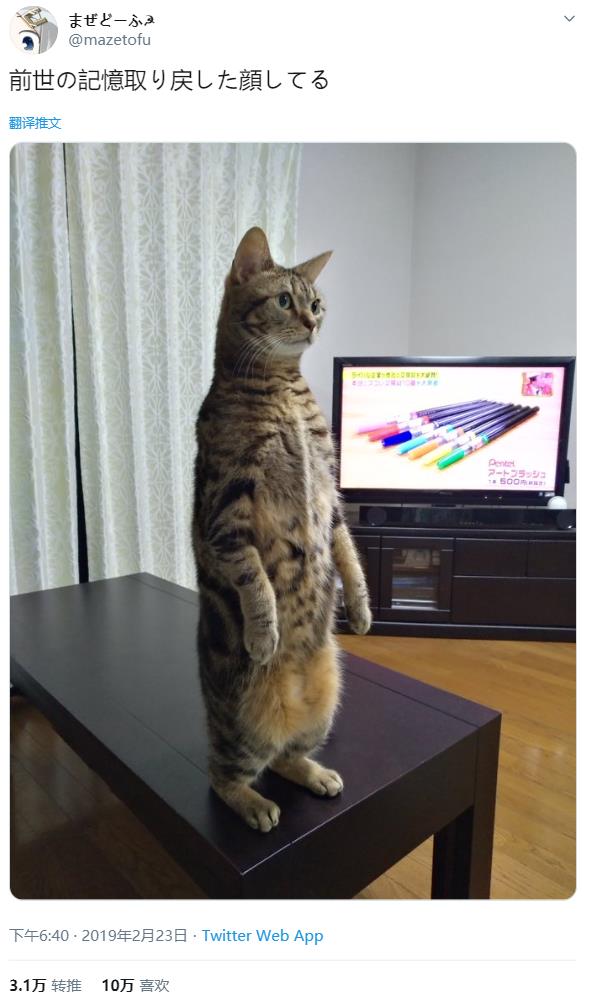 微信截图_20191208125052