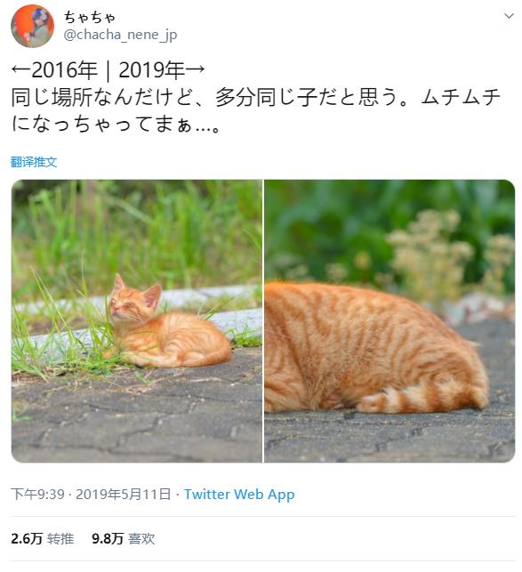 微信截图_20191208125905