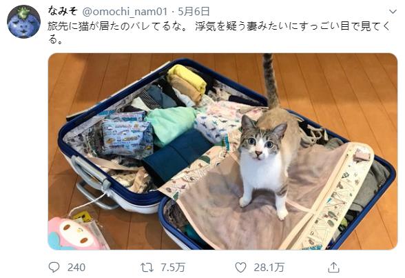 微信截图_20191208130230