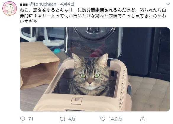 微信截图_20191208131031