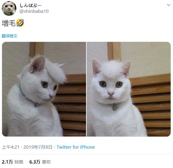 微信截图_20191208131444