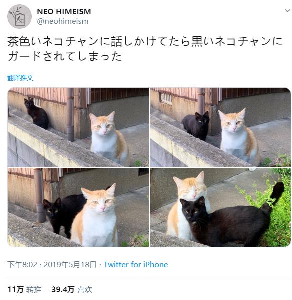 微信截图_20191208133224