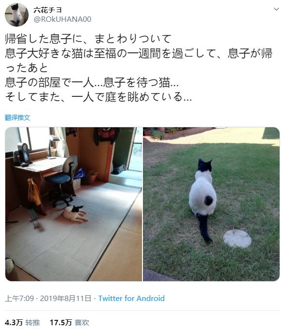 微信截图_20191208135204