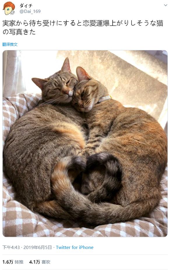 微信截图_20191208141638