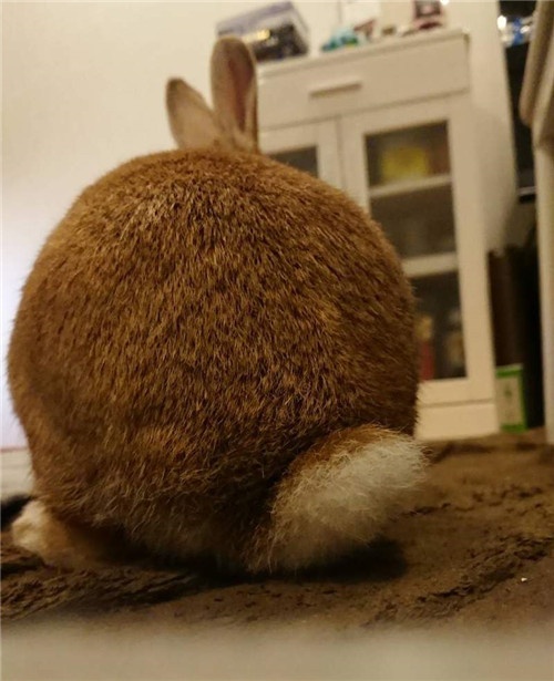 pJyVpaGVmKaerKQ.jpg