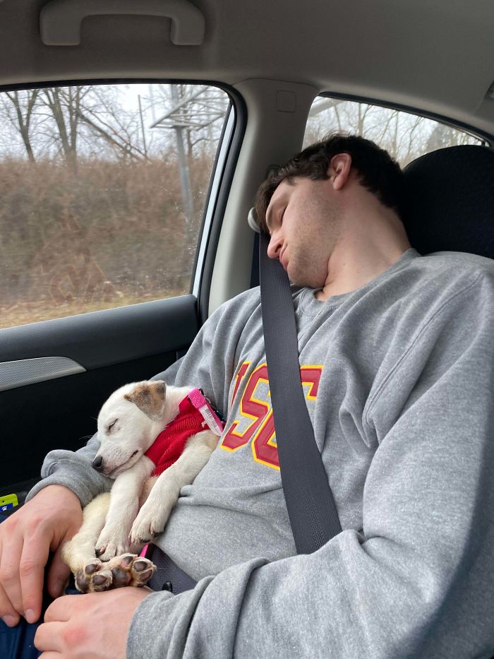 On Our Way Home From Adopting Her. Like Father Like Daughter.