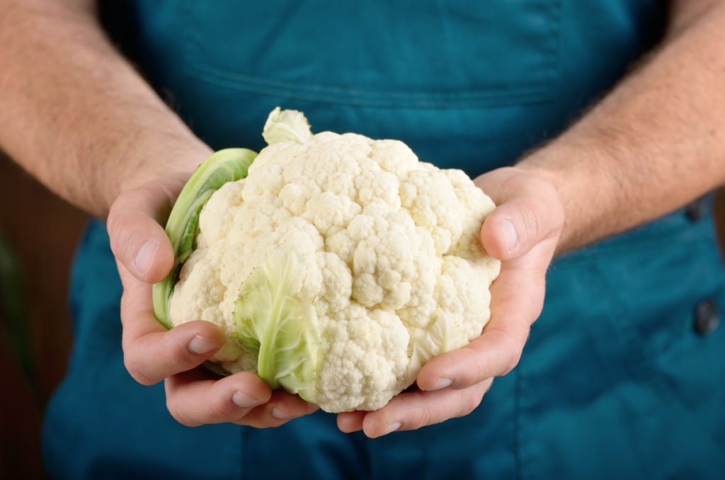 farmer-hold-fresh-organic-cauliflower-in-his-YJCRTE7-1-1024x678.jpg