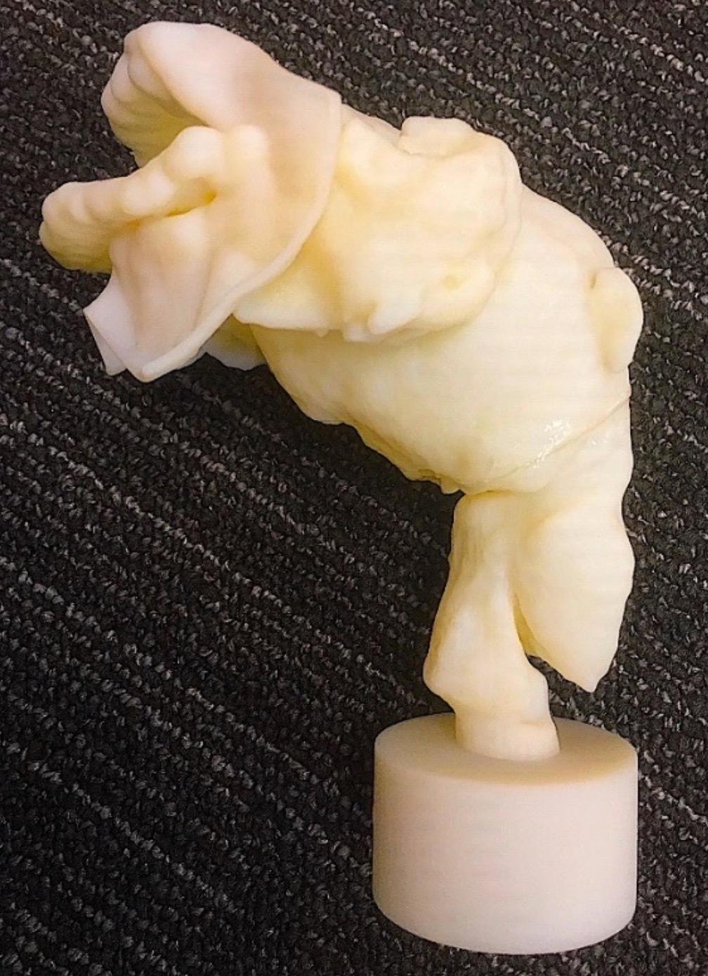 The 3D-printed vocal tract created by Prof David Howard