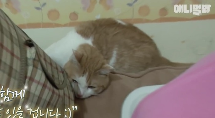 截屏2020-01-23下午6.26.14.jpg