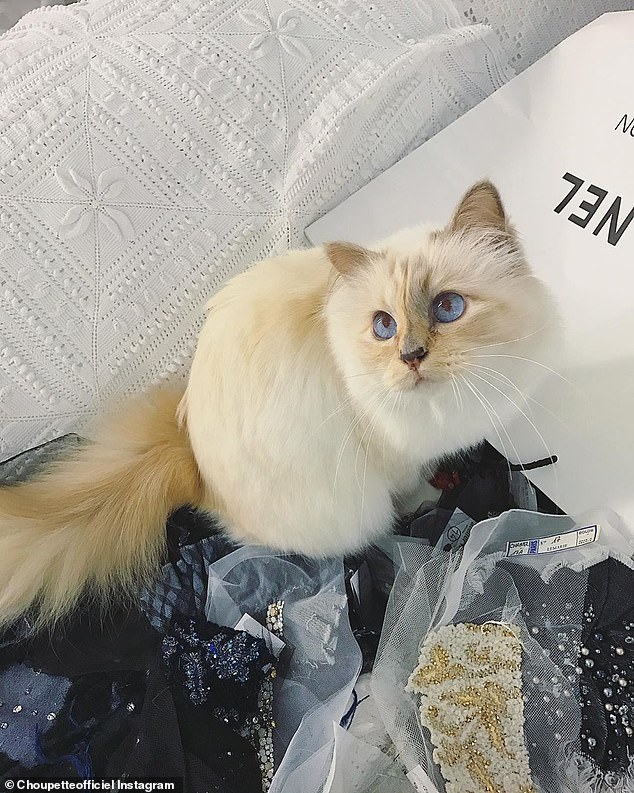 24186008-7957035-image-a-72_1580607425180