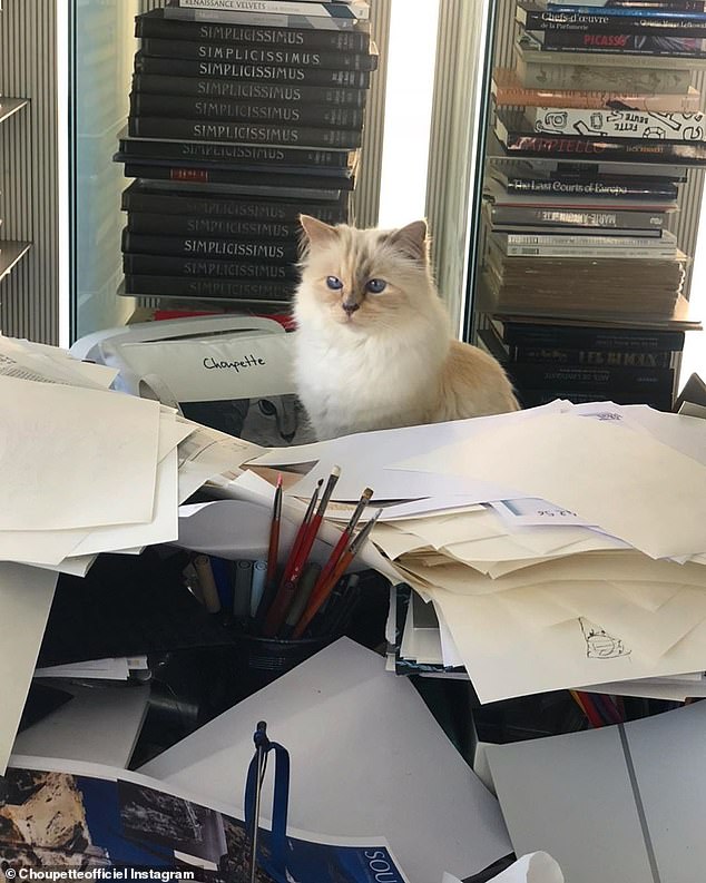 24186018-7957035-image-a-74_1580607442655