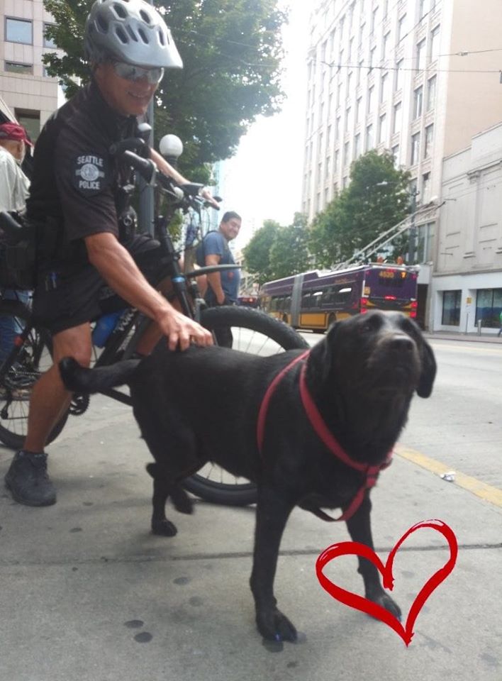 42319693_888116844727401_9164767629007650816_o