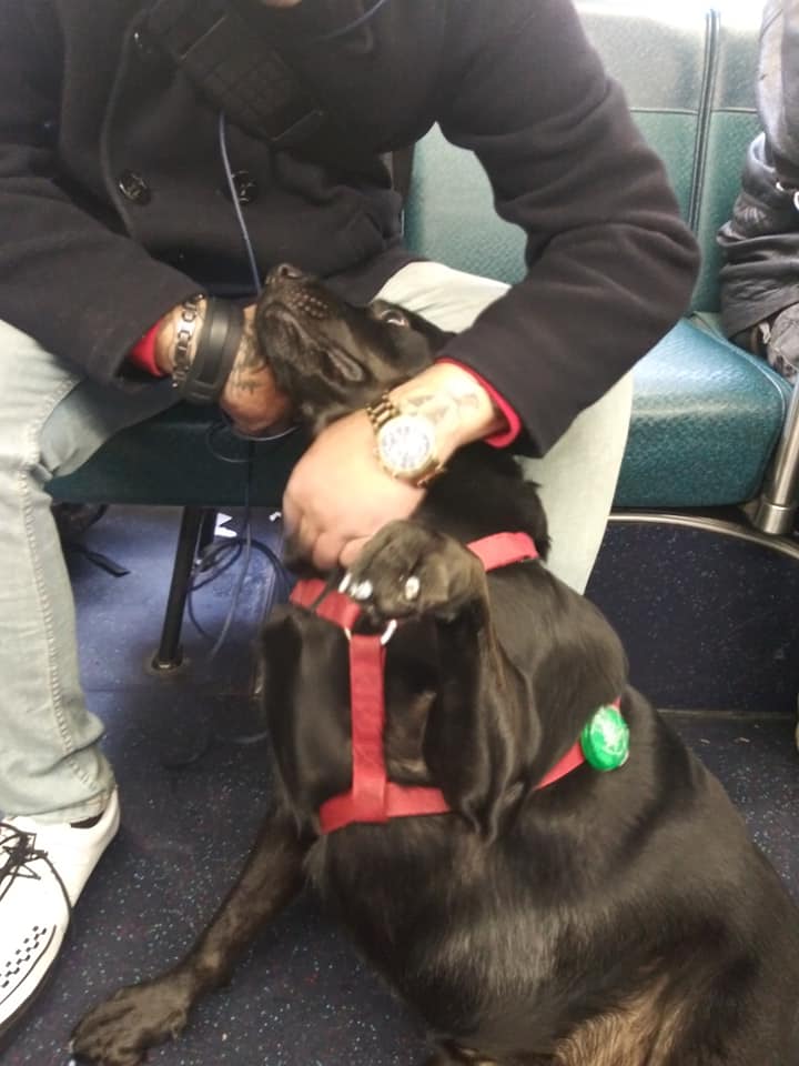 44423360_901897586682660_188002615605329920_n