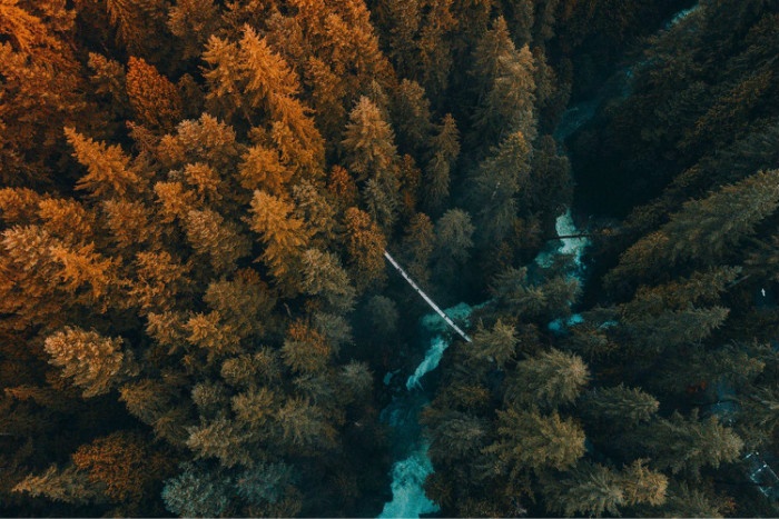 vancouver-canada.jpg