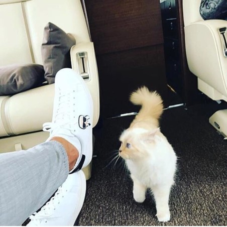 5C6CF44973DAE1550644297