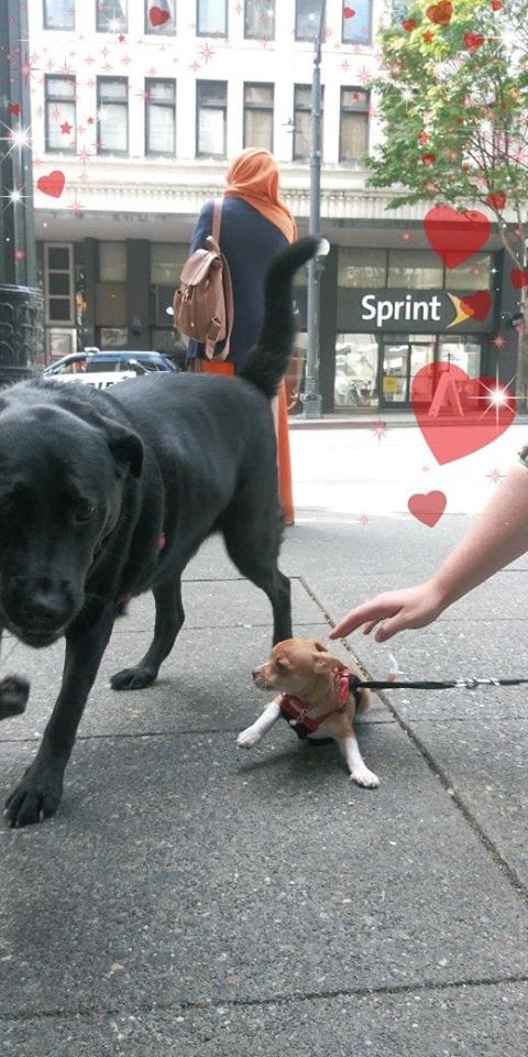 69472717_1093153867557030_3561524715933663232_o