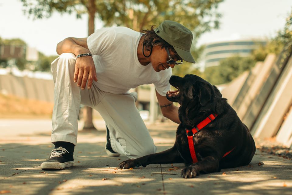 70392382_1103833876489029_7589898044636659712_o