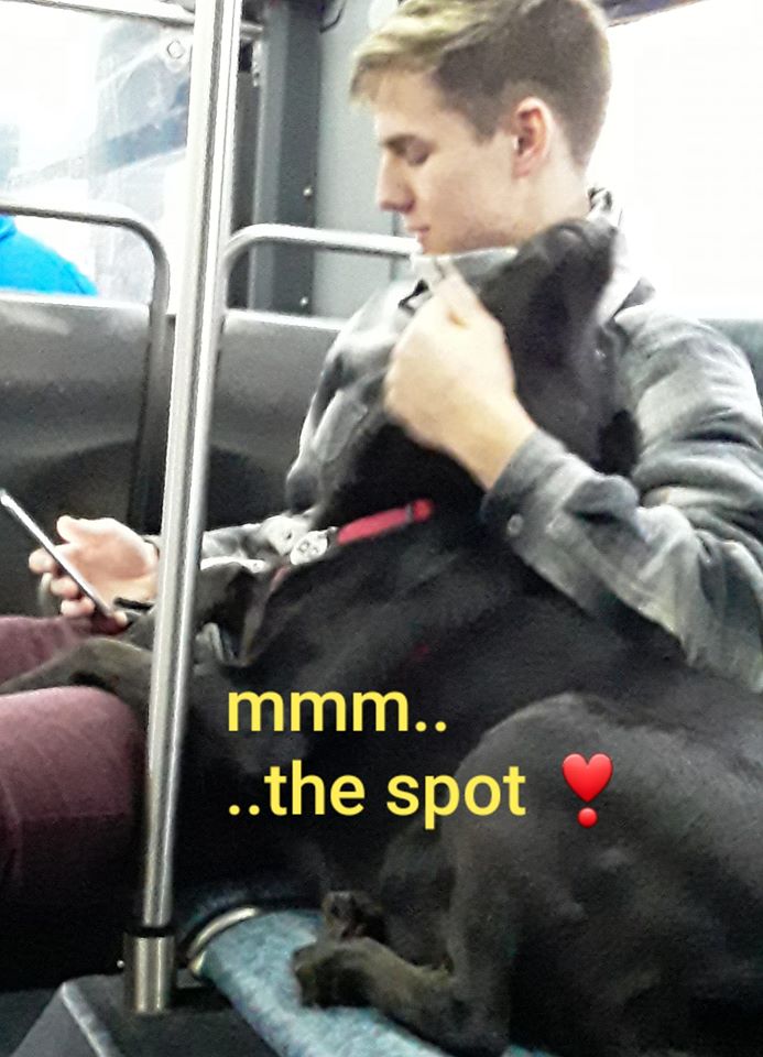 77013450_1155468701325546_8699676972122374144_o