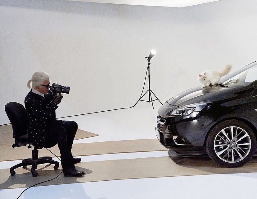 choupettesdiary_14156250_1097497703668090_606306855_n