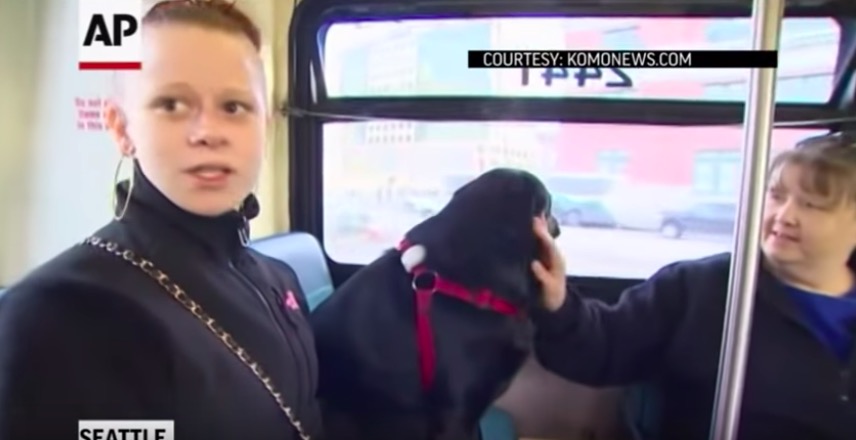 屏幕快照 2020-02-01 下午7.58.13