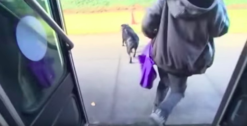 屏幕快照 2020-02-01 下午8.00.18