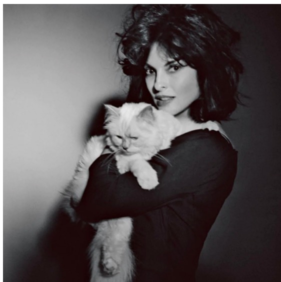 屏幕快照 2020-02-03 下午5.35.38