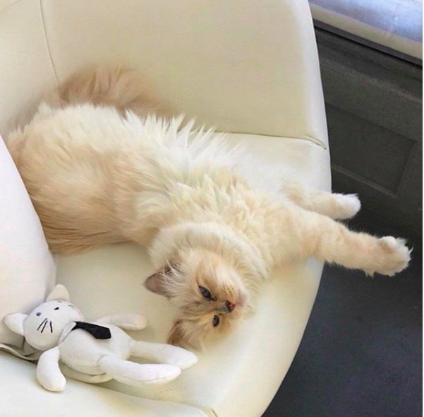 屏幕快照 2020-02-03 下午5.47.32