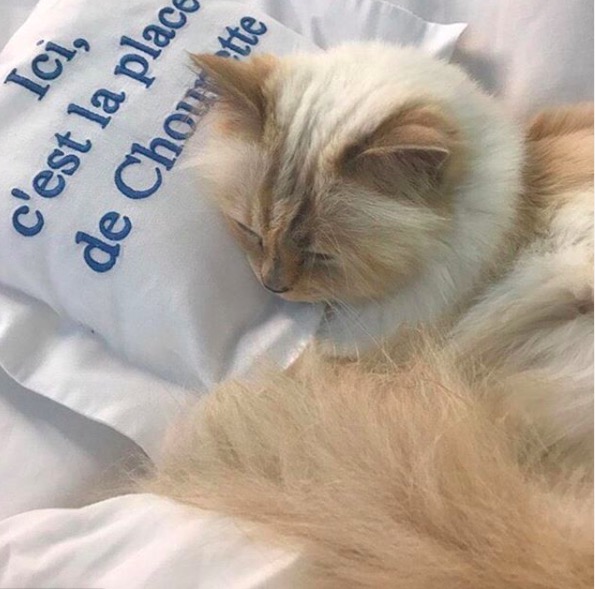 屏幕快照 2020-02-03 下午5.48.27