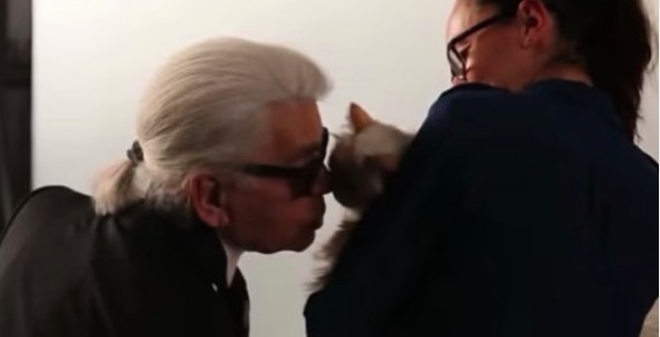 屏幕快照 2020-02-03 下午5.49.32