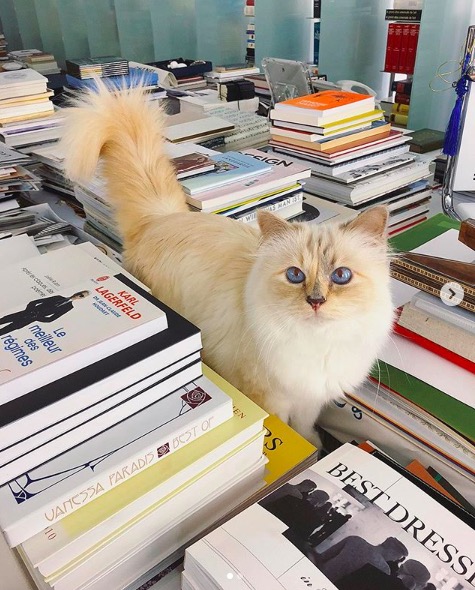 屏幕快照 2020-02-03 下午5.54.07