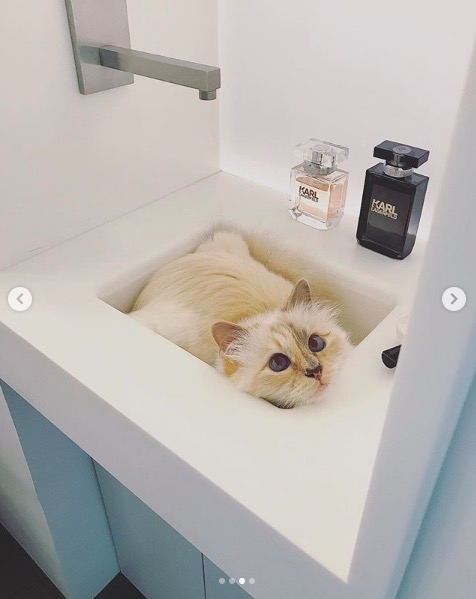 屏幕快照 2020-02-03 下午5.55.09